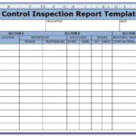 Pest Control Report Template