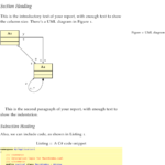 Project Report Template Latex