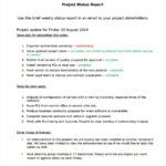 Project Status Report Email Template