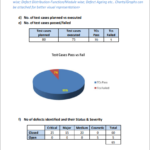 Qa Weekly Status Report Template