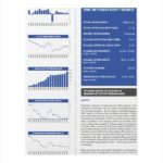 Real Estate Report Template