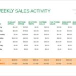 Sale Report Template Excel