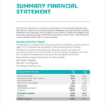 Summary Annual Report Template