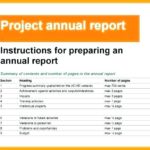 Summary Annual Report Template