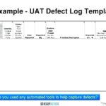 Testing Daily Status Report Template