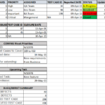 Testing Daily Status Report Template