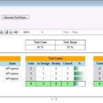 Testing Daily Status Report Template