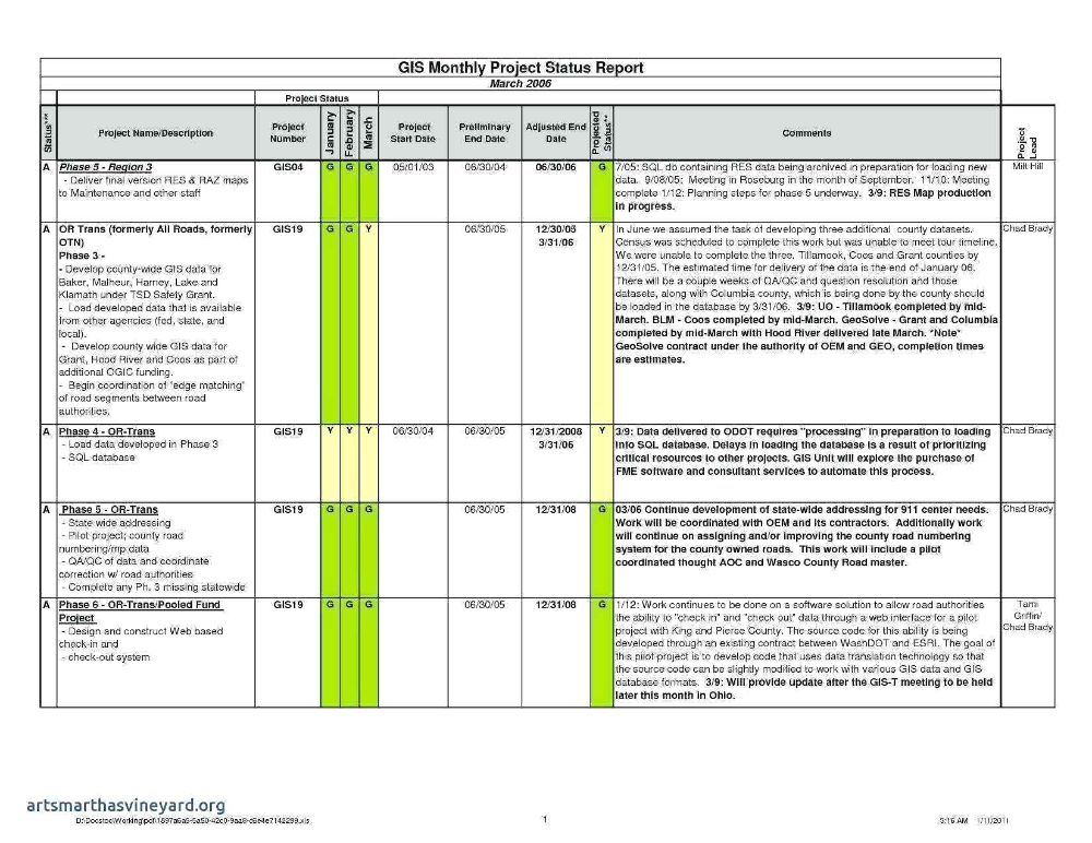 Testing Daily Status Report Template