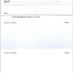 Blank Business Check Template