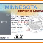 Blank Drivers License Template