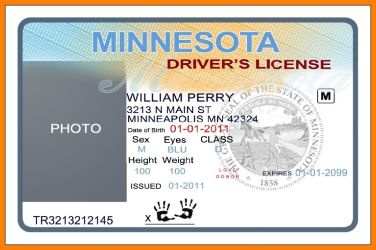 Blank Drivers License Template (12) PROFESSIONAL TEMPLATES
