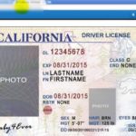 Blank Drivers License Template