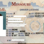 Blank Drivers License Template