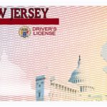 Blank Drivers License Template