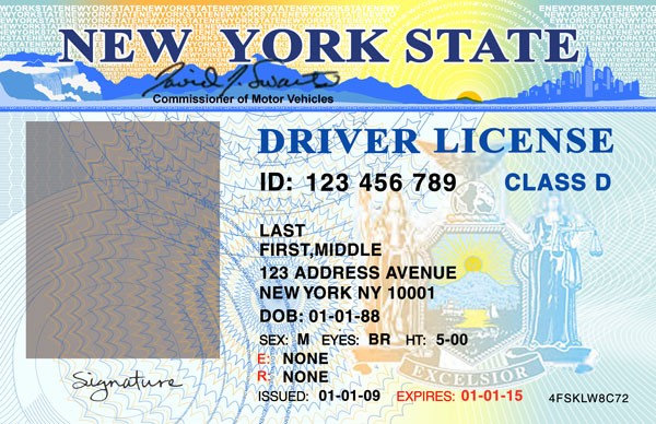 Blank Drivers License Template