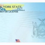 Blank Drivers License Template