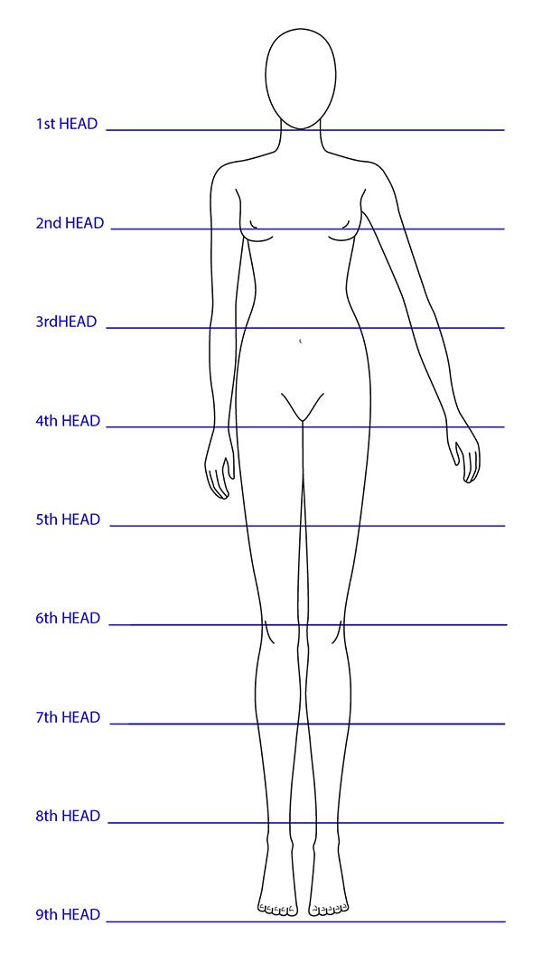 Blank Model Sketch Template