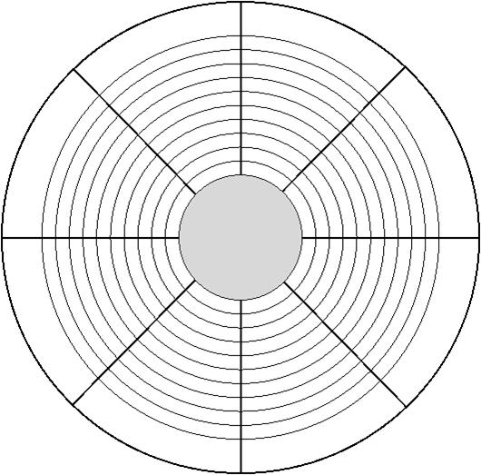 Blank Performance Profile Wheel Template