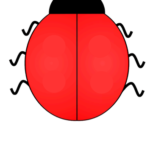 Blank Ladybug Template