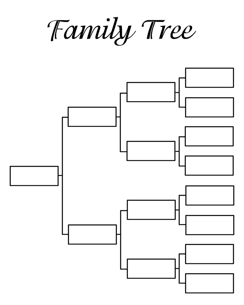 Blank Tree Diagram Template