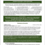 C Level Resume Samples