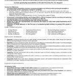 C Level Resume Samples