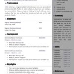 Cv Templates Online Free Download