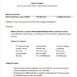 Resume Template Internship