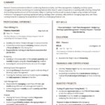 Resume Templates C