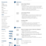 Resume Templates C