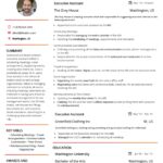 Resume Templates C