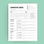 Resume Templates Editable