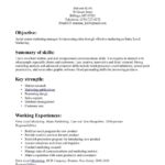 Resume Templates Entry Level