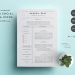 Resume Templates Envato