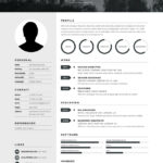 Resume Templates Envato