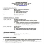 Resume Templates Excel