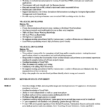 Resume Templates Excel