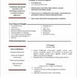 Resume Templates Excel