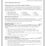 Resume Templates Executive