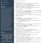 Resume Templates Executive