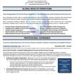 Resume Templates Executive