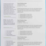 Resume Templates Google Docs Download