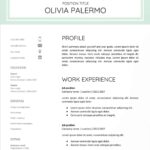 Resume Templates Google Docs Download