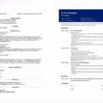 Resume Templates Google Docs Reddit