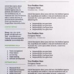 Resume Templates Google Docs Reddit