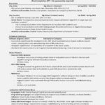 Resume Templates Google Docs Reddit