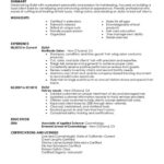 Resume Templates Hair Stylist