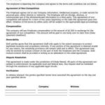 Resume Templates Hloom