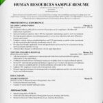Resume Templates Human Resources