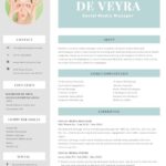 Resume Templates Ideas